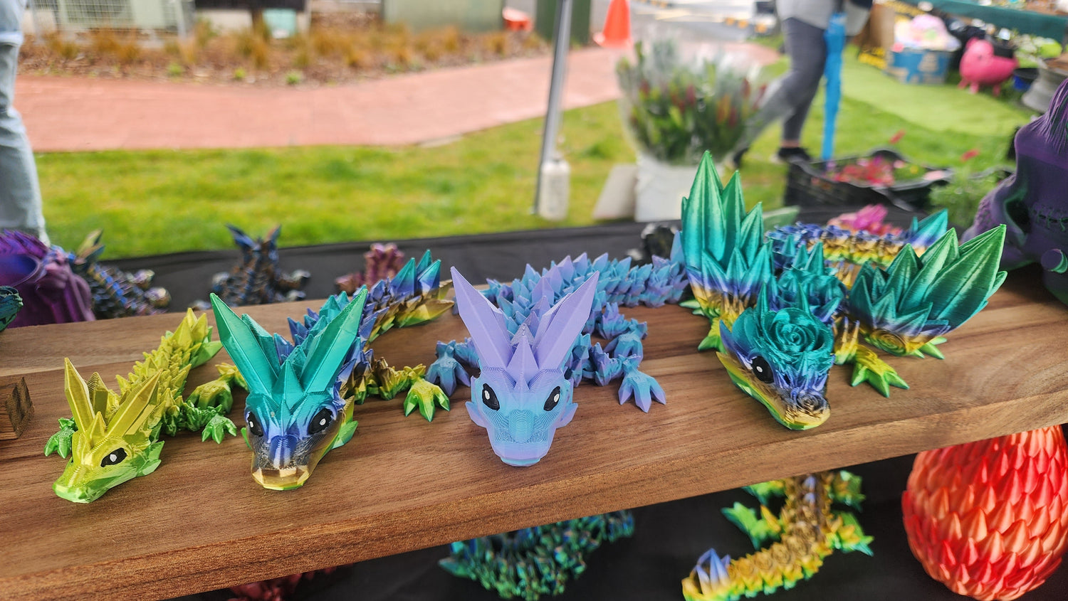 Wild Dragons