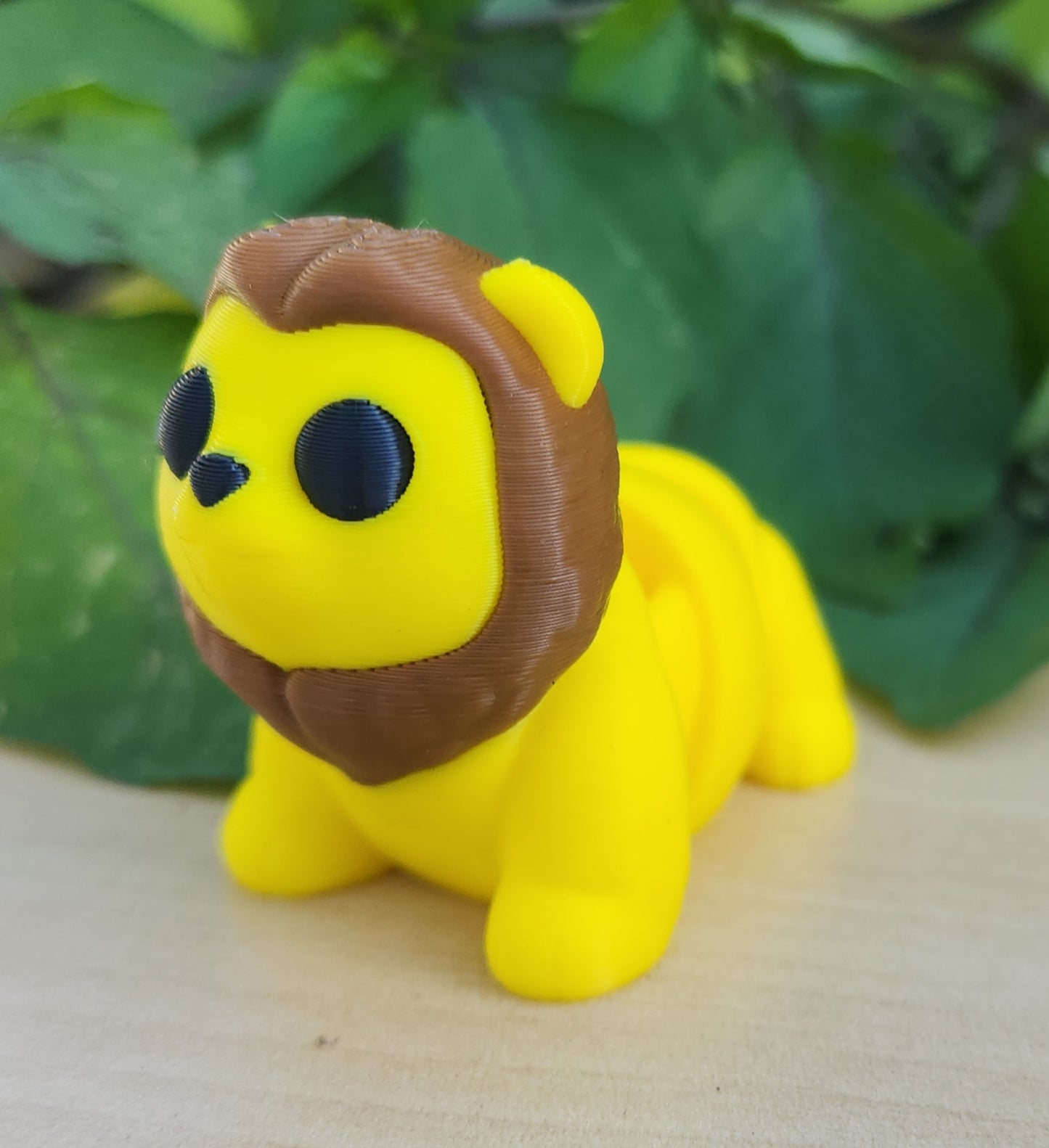 Baby lion