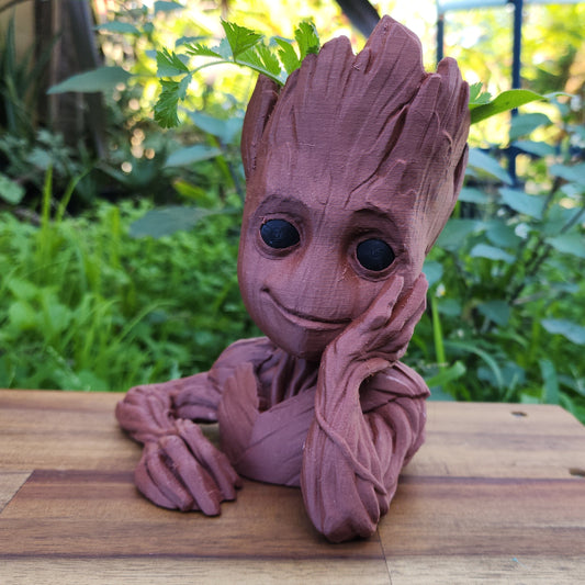 Groot
