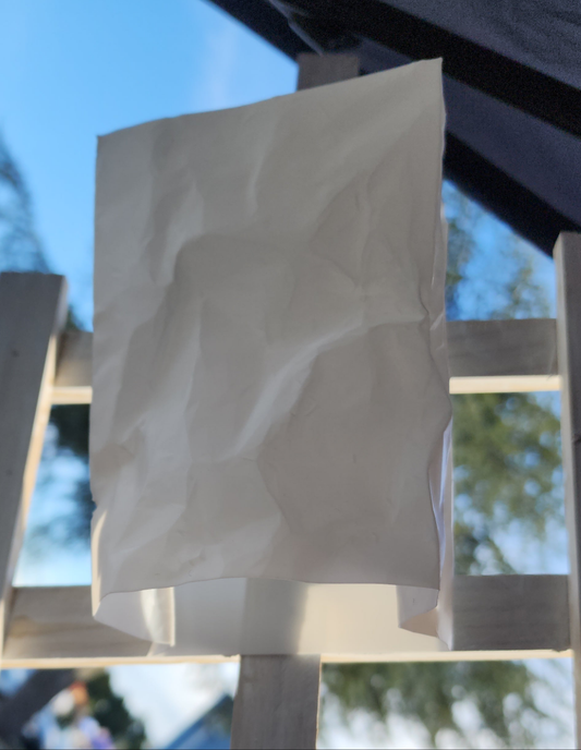 Paper bag