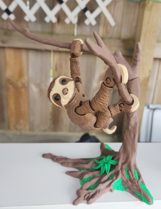 Sloth in a tree