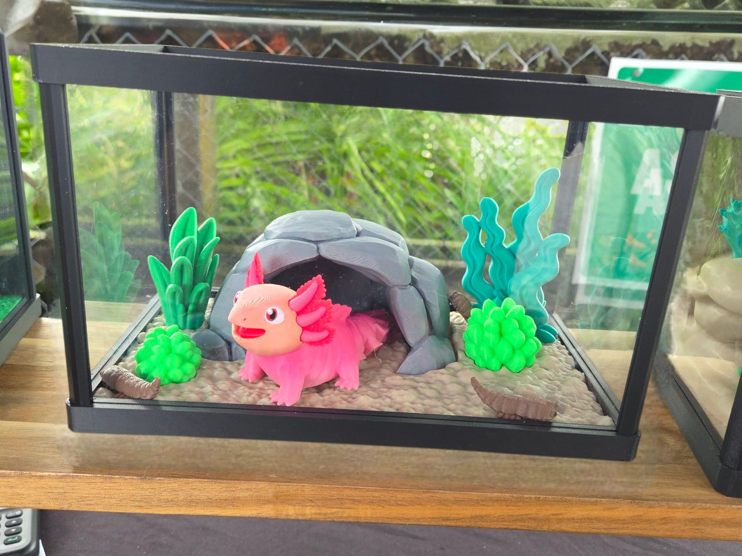 Axolotl terrarium