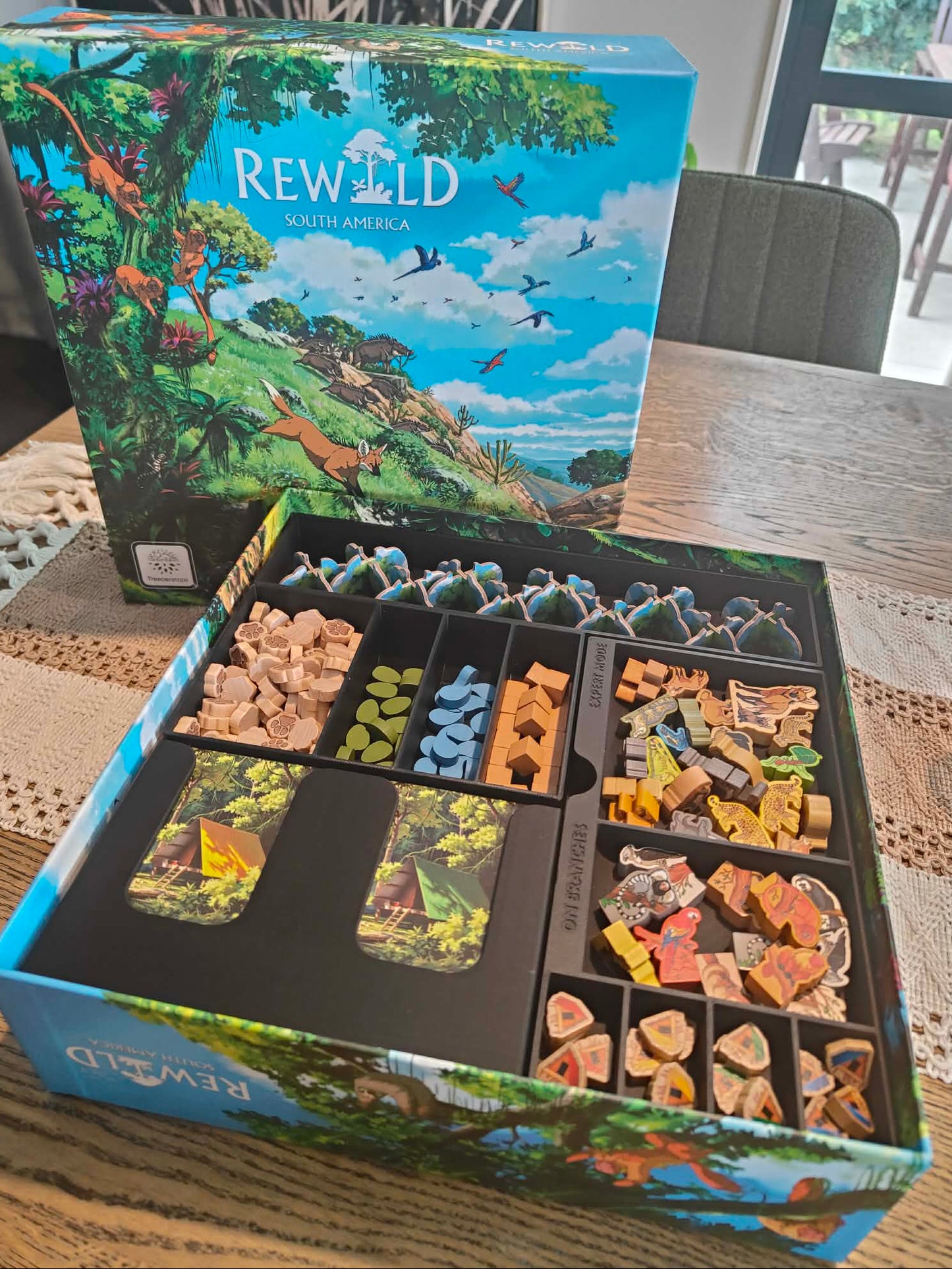 Rewind south America (Inserts)