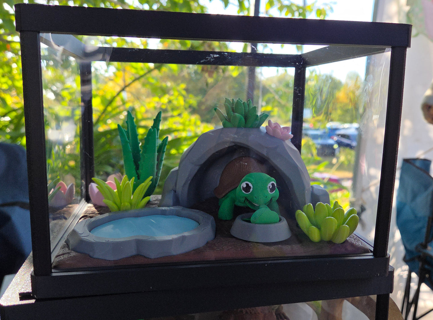 Turtle š¢ with enclosure