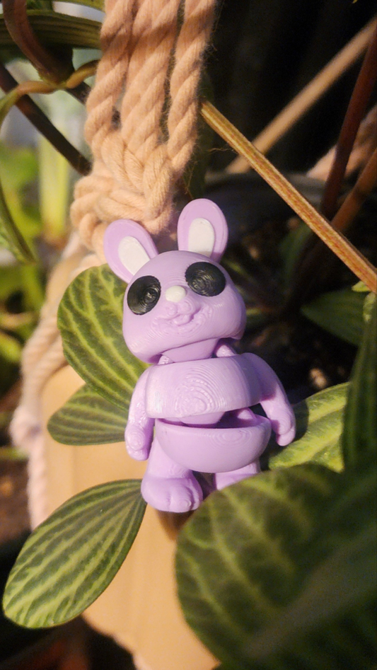 Bunny Rabbit