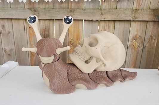 Skull snail