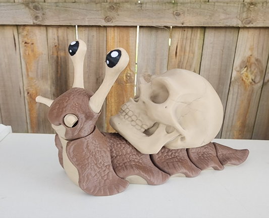 Skull snail