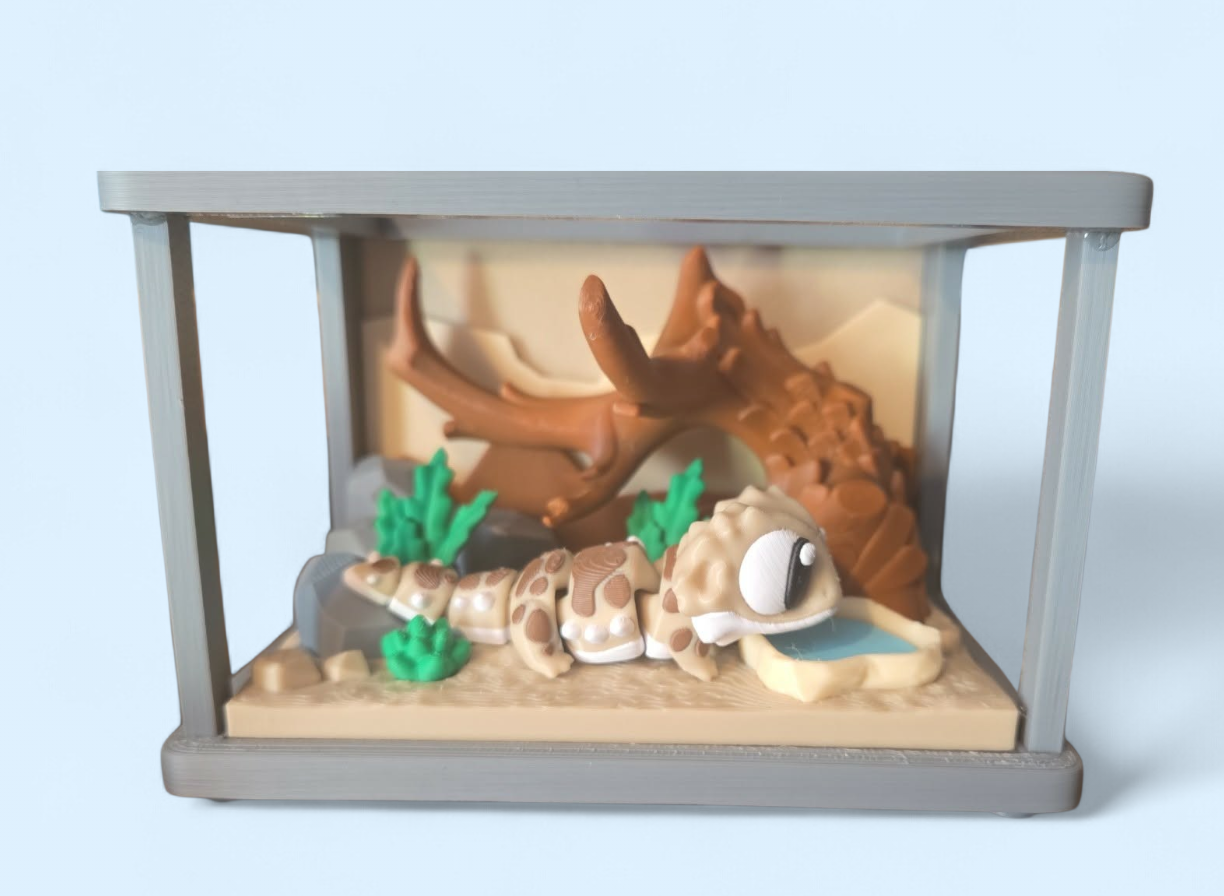 Open bearded dragon playset
