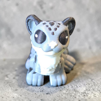 Baby snow leopard 🐆