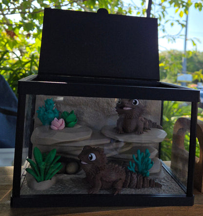 Double bearded dragon - with enclosure