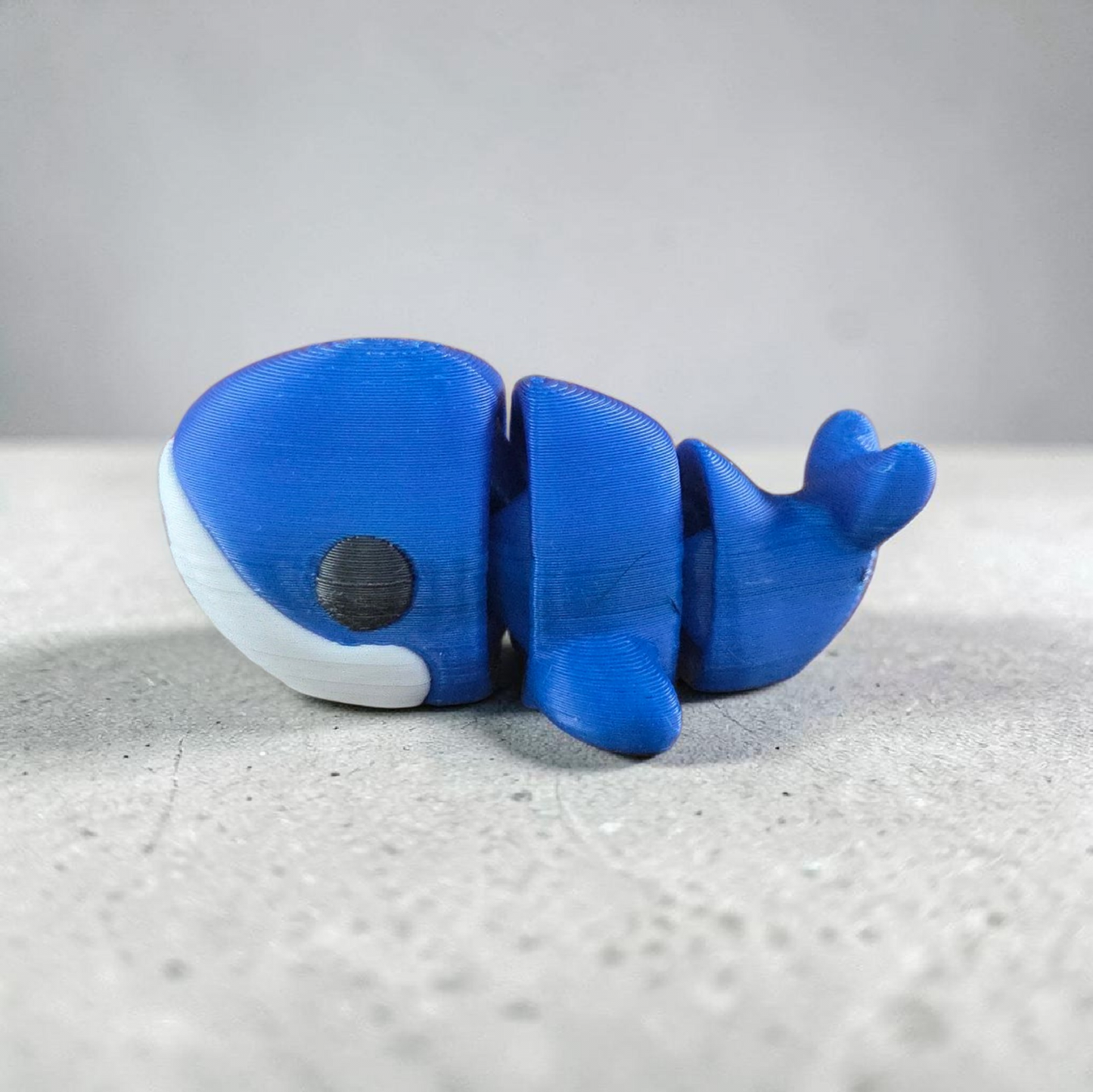Baby Blue Whale 🐋