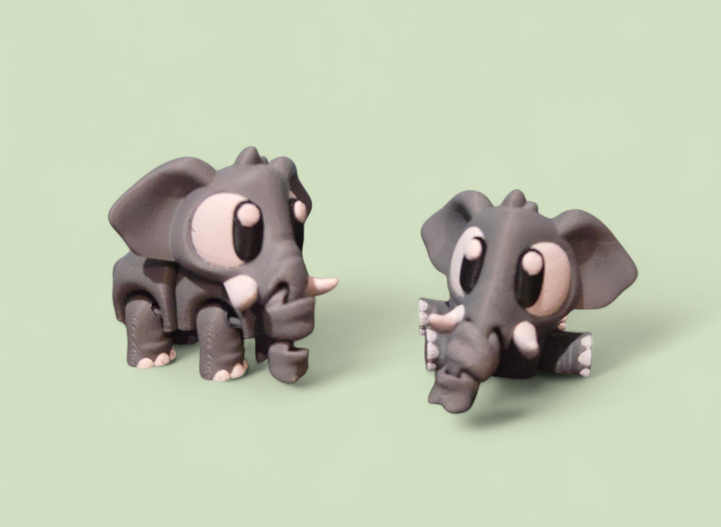 Baby elephant