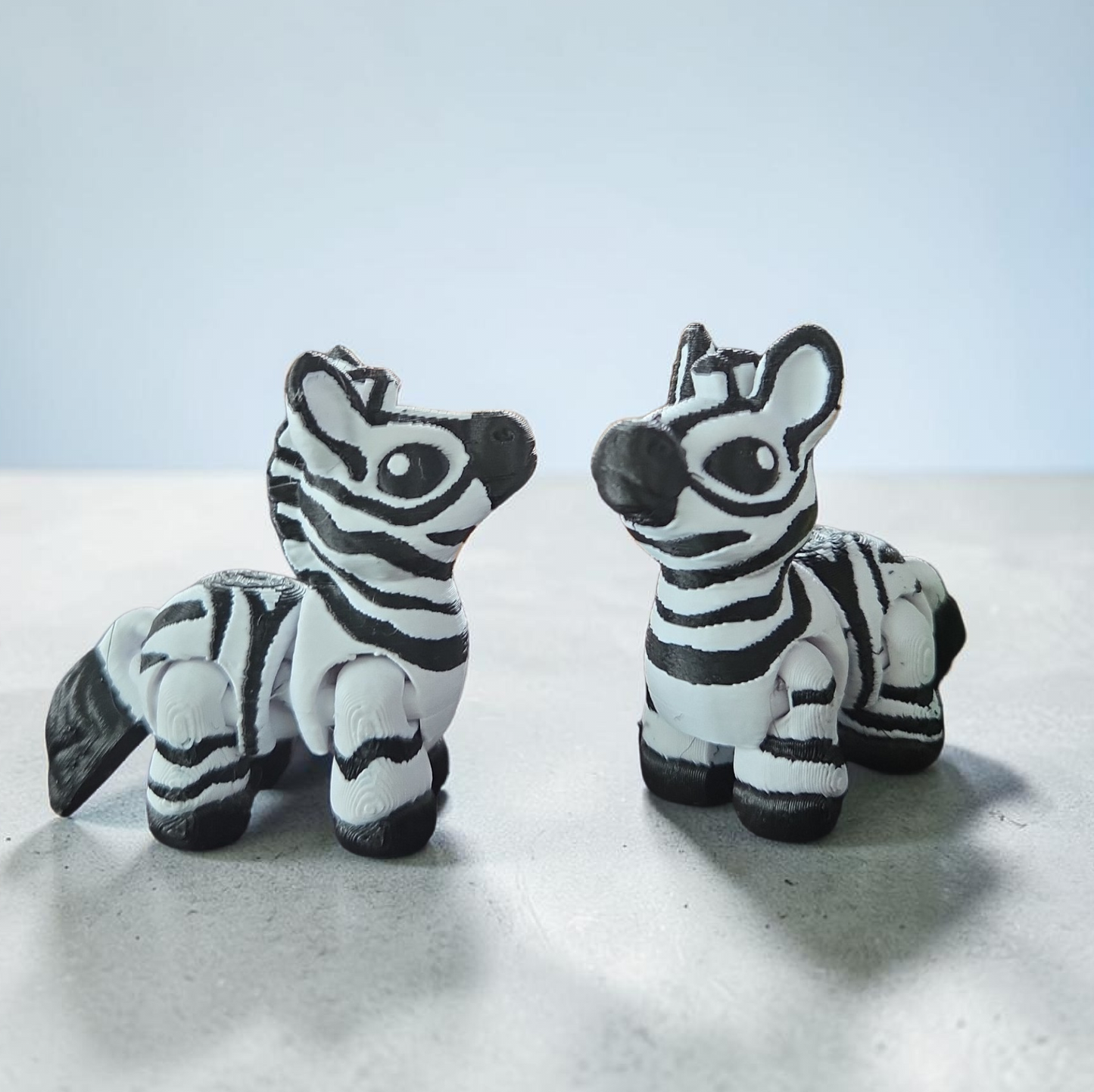 Baby Zebra